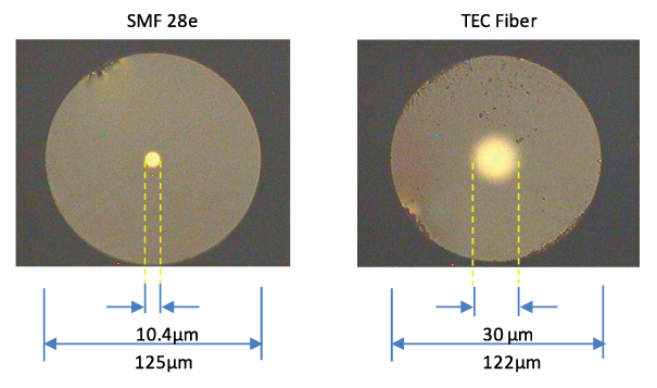 热膨胀率光纤（TEC Fiber）