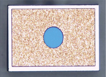 InGaAs Avalanche Photodiode (APD) 10 Gbps(Chip)