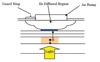 InGaAs Avalanche Photodiode (APD) 10 Gbps(Chip)